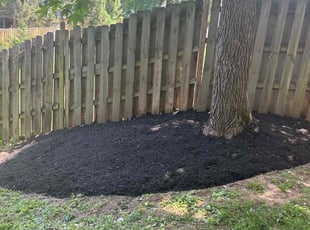 Mulching by candelario castillo for Slone M. in Alexandria, VA