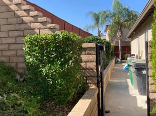 Bush Trimming by Hugo Lopez for Amanda C. in Menifee, CA