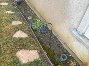 Cleanups by Maria Almendra for Naushaba R. in Castro Valley, CA