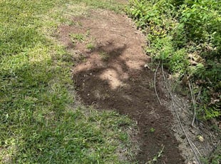 Aeration by angel compean for Edgar P. in Round Rock, TX