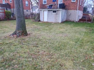 Cleanups by Wayne Barnes for Kim A. in Lochearn, MD