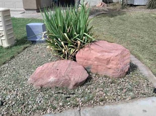 Weeding by Oscar Laureano for Matt K. in Chandler, AZ