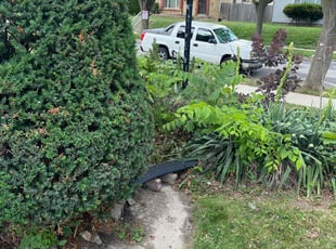 Bush Trimming by Jevonta Johnson for Tod P. in Milwaukee, WI