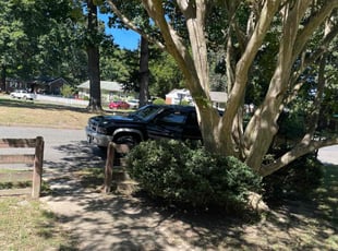 Bush Trimming by Warren Wallace for Alfreda J. in Richmond, VA