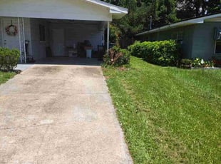 Bush Trimming by Shaun Gapp for David S. in Winter Haven, FL