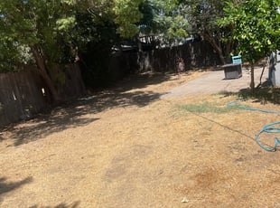 Bush Trimming by Ramon Mojica for Chuck H. in Roseville, CA