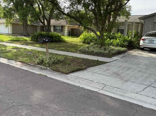 Leaf Removal by Jonathan Holt for Monroe L. in Brandon, FL