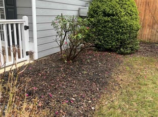 Bush Trimming by Thomas McDonald for Chloe B. in Dallas, GA
