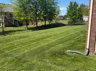 Ashlei B.'s Lawn Service service result