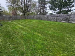 Jennifer D.'s Lawn Maintenance service result