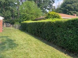 Bush Trimming by Ricardo Binyard Jr for Jay C. in Oak Park, MI