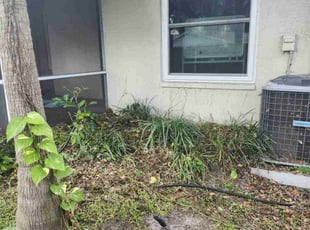 Weeding by Cari Butler for Roland C. in Tampa, FL