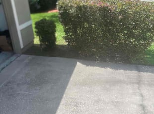 Weeding by Jovan Tribune for Lindsay A. in Jacksonville, FL