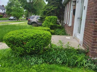Bush Trimming by Mary Esparza for Nathaniel L. in Detroit, MI