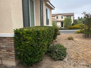 Bush Trimming by Mario Monje for Troy D. in Winchester, CA