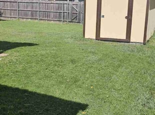 Theresa D.'s Yard Cutting service result