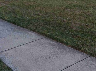 Isaiah V.'s Leaf Removal service result