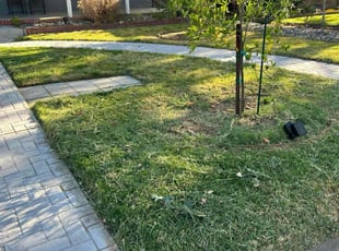 Ellen J.'s Lawn Service service result