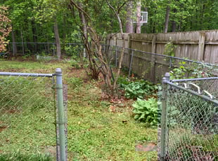 Bush Trimming by Chris Thomas for Ree L. in Chesterfield, VA