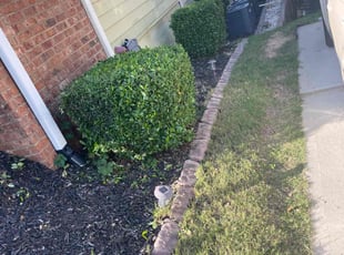 Bush Trimming by Quante Smith for Jessie L. in Evans, GA