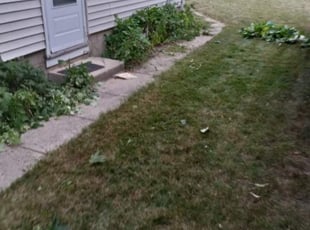 Bush Trimming by Jerome Glenn for Patricia H. in Milwaukee, WI
