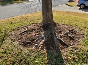 Cleanups by Linda Dunnican for Candice H. in Fort Mill, SC