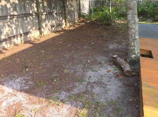 Leaf Removal by Adam Watters for Eric S. in Panama City Beach, FL