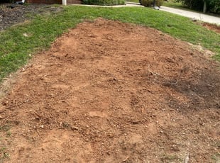 Cleanups by James Millard for Mike S. in Waxhaw, NC
