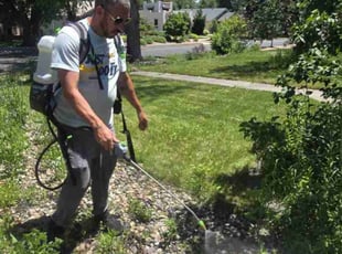 Weeding by Lindsey Barone for Dana S. in Colorado Springs, CO
