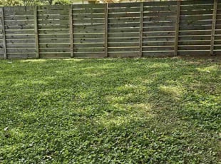 Cleanups by Andrew Yates for Michelle S. in Richmond, VA