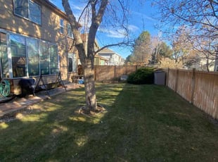 Leaf Removal by Connor Andrew for John H. in Parker, CO