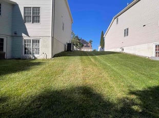 James P.'s Yard Cutting service result