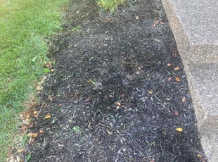 Weeding by Brandon Williams for Audrey T. in Louisville, KY