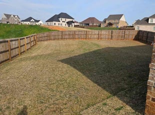 Cj R.'s Lawn Care service result