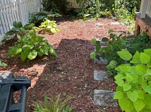 Weeding by Steven Foster for Cori M. in Mount Rainier, MD