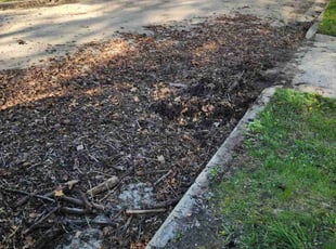 Leaf Removal by Devon Steed for Harmony P. in Pontiac, MI