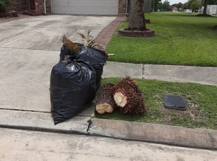 Bush Trimming by Manuel Torres for Sarah Z. in Katy, TX