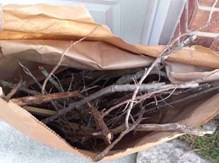 Leaf Removal by Christopher Moreno for Maria D. in San Antonio, TX