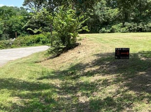 Ralph C.'s Lawn Mowing service result