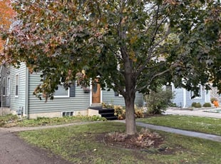 Cleanups by Matson Courrier for Reef L. in Minneapolis, MN