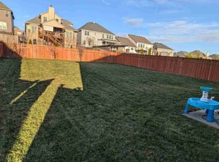Daniel V.'s Lawn Maintenance service result