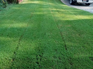Bush Trimming by Karushoun Kelly for Barry P. in Union City, GA