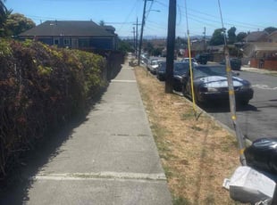 Cleanups by Michael Leftridge for Alvin C. in Oakland, CA