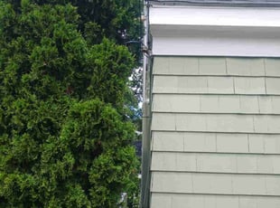 Bush Trimming by Gregory Warren for Eduardo M. in East Providence, RI