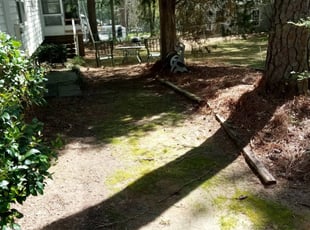 Leaf Removal by Zane Rollins for Melvina S. in Columbia, SC