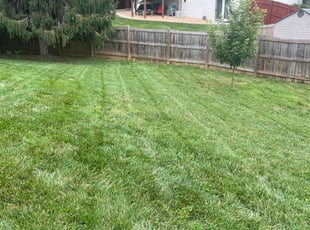 Bush Trimming by Gilbert Osorio for Debra J. in Stafford, VA
