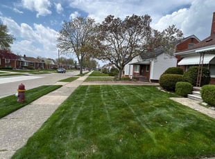 Leaf Removal by Kyle Yacko for Teresa B. in St. Clair Shores, MI