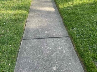 Minh L.'s Lawn Care service result