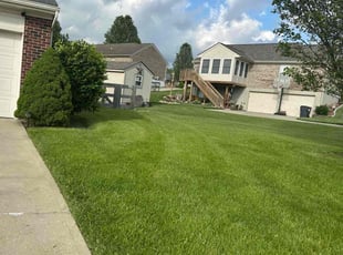 William E.'s Grass Cutting service result