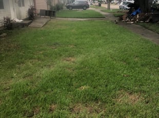 Cleanups by Nathan Simpkins for Taylor L. in Kenner, LA